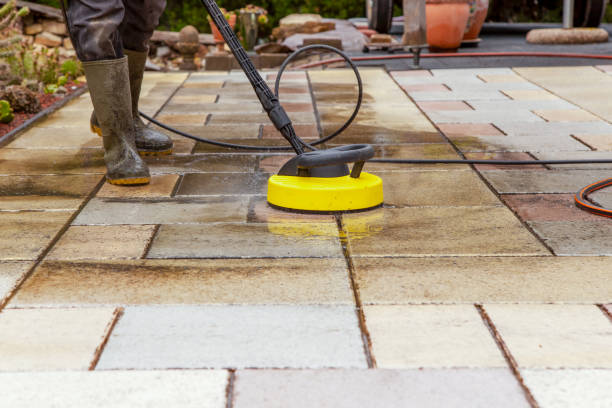 Animal Enclosure Cleaning in Newmanstown, PA